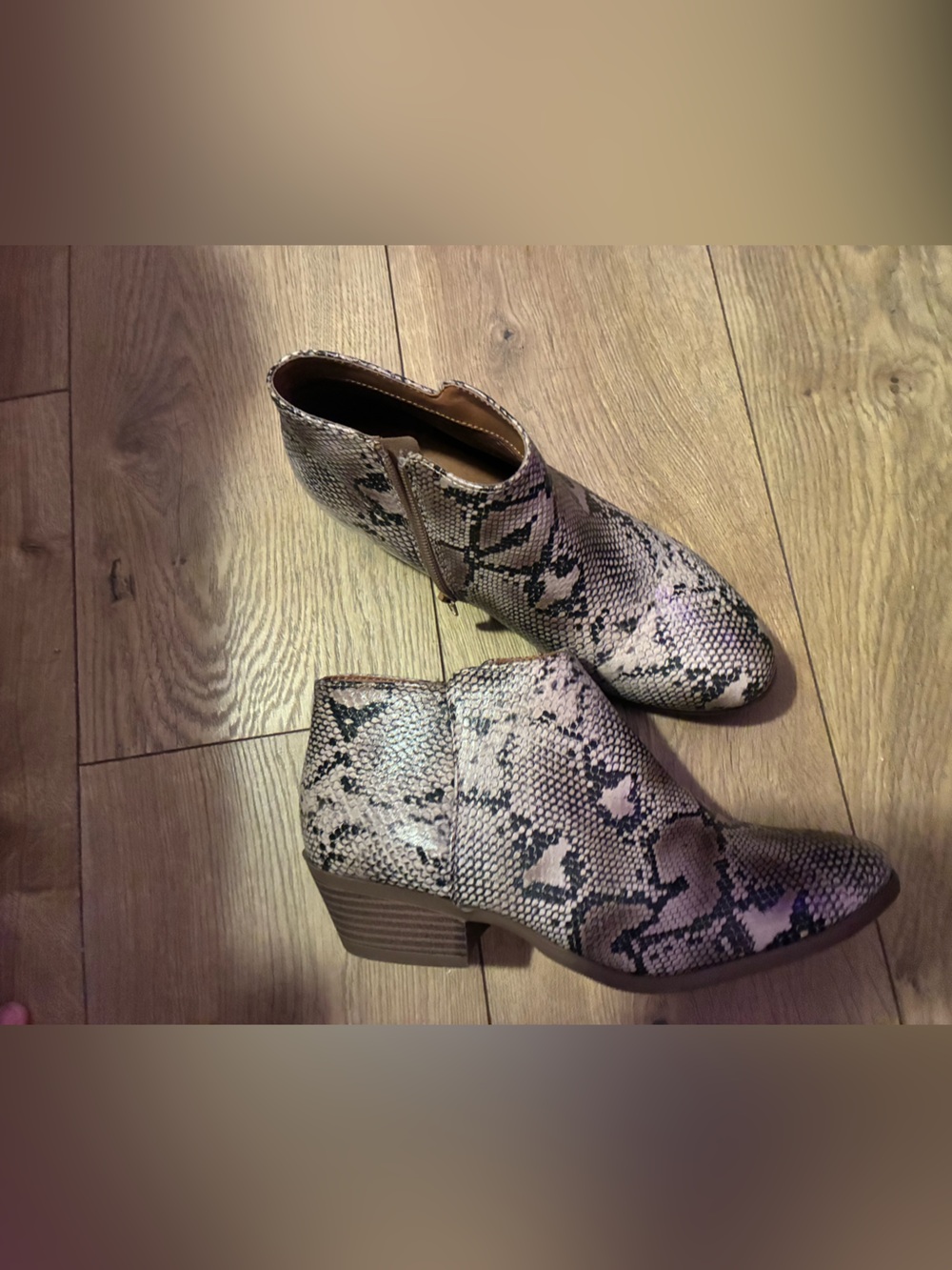 Soda Snake-Print Ankle Booties in Beige and Brown